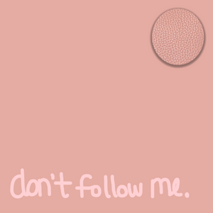 Don't Follow Me | Followers